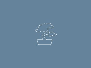 Imagem simplista de um bonsai a simbolizar a diferença de cada processo psicoterapêutico