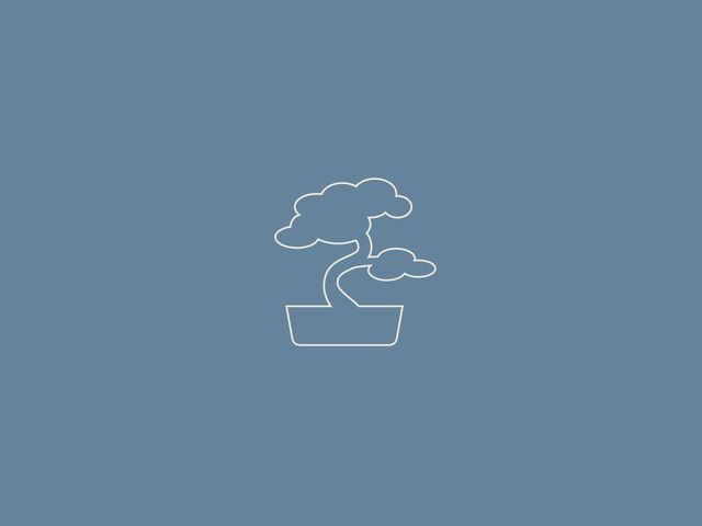 Imagem simplista de um bonsai a simbolizar a diferença de cada processo psicoterapêutico