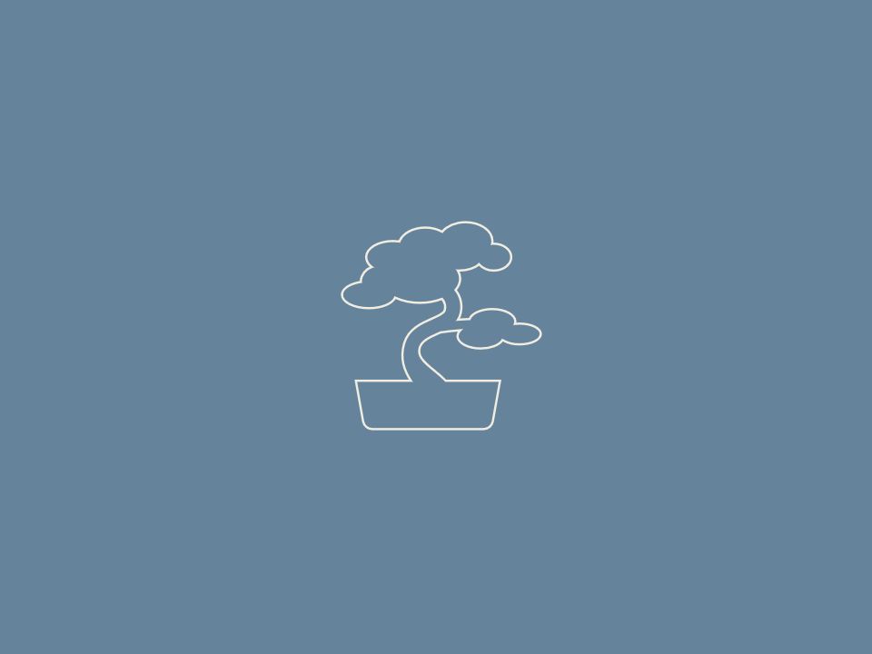 Imagem simplista de um bonsai a simbolizar a diferença de cada processo psicoterapêutico