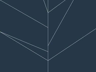 Imagem a simbolizar os diferentes caminhos que uma pessoa pode escolher ao longo do processo terapêutico